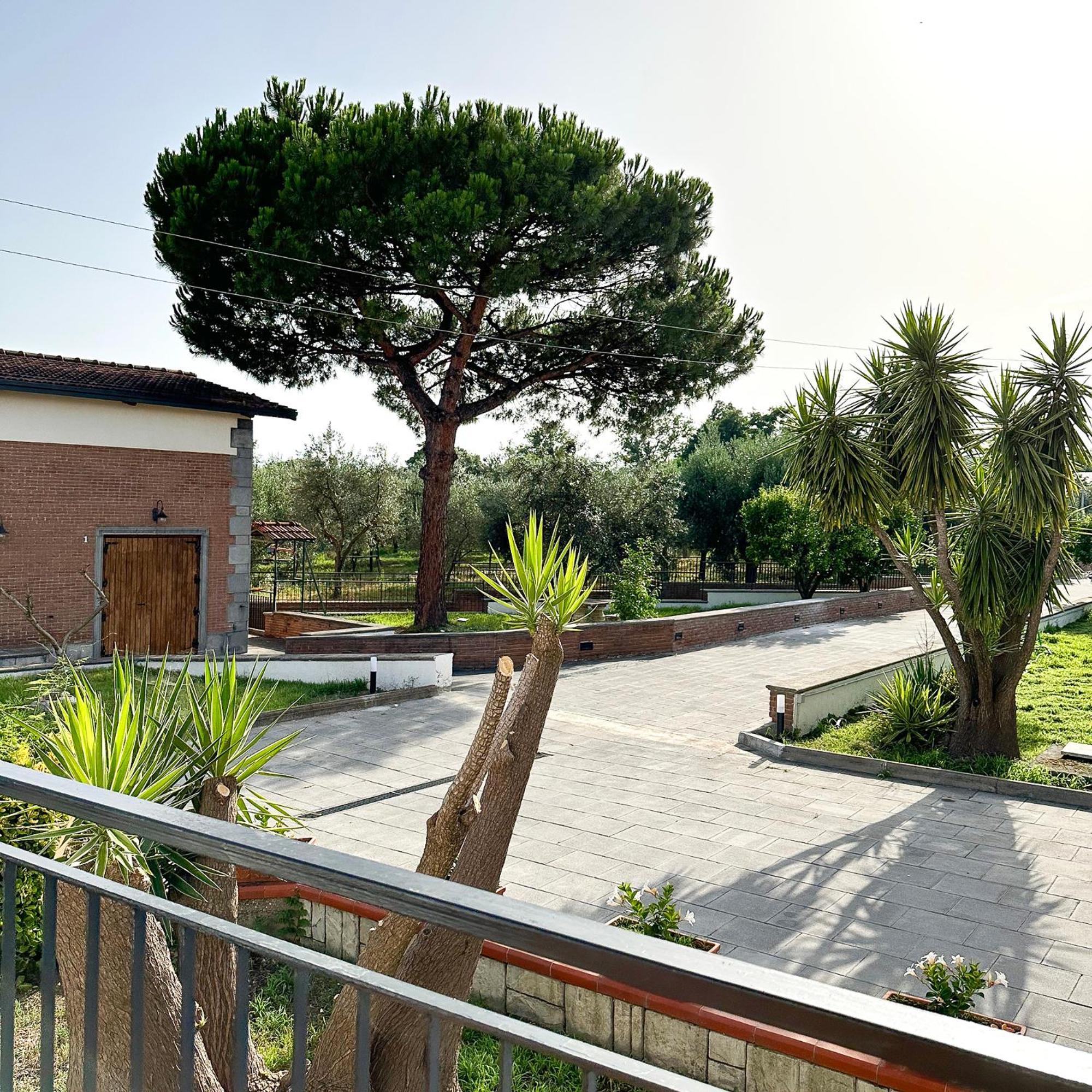 Tenuta Nunziata - Food, Event, Biofarm Торре-Аннунциата Экстерьер фото